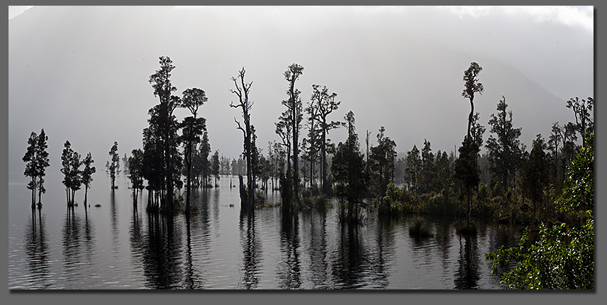 New Zealand Lakes Rivers Forests